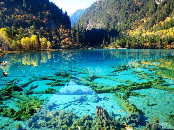 Crystalline Turquoise Lake, Jiuzhaigou National Park, China (1)